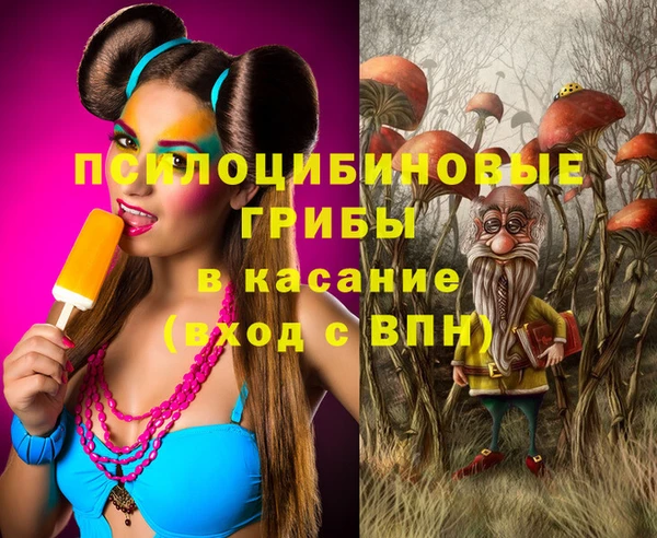 хмурый Абинск