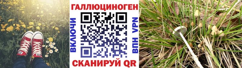 Галлюциногенные грибы ЛСД Протвино